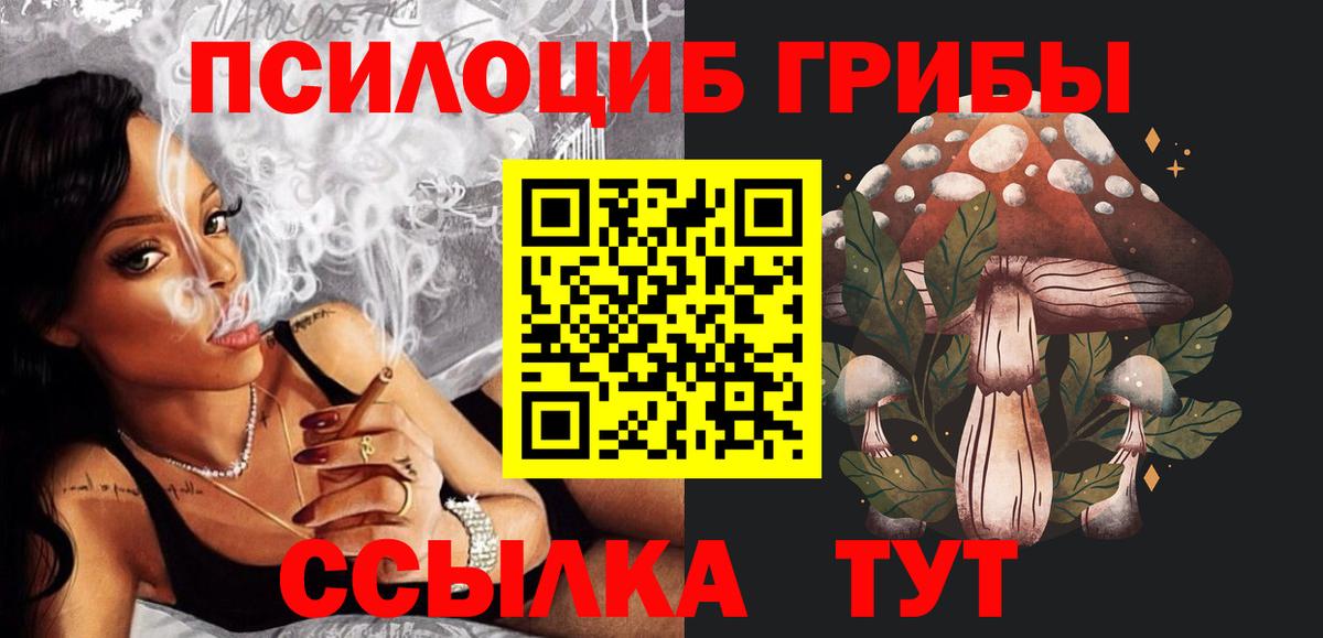 Северобайкальск  Галлюциногенные грибы Psilocybe  Вход с VPN 