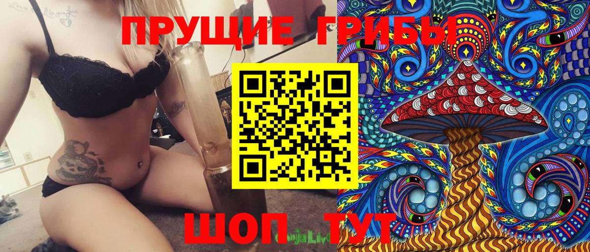 Псилоцибиновые грибы Psilocybe Северобайкальск